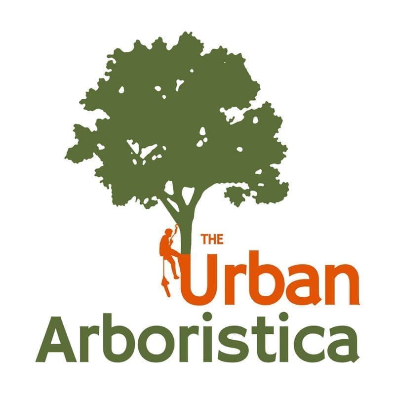 Urban Arboristica - Servicii Arboricultura in Romania